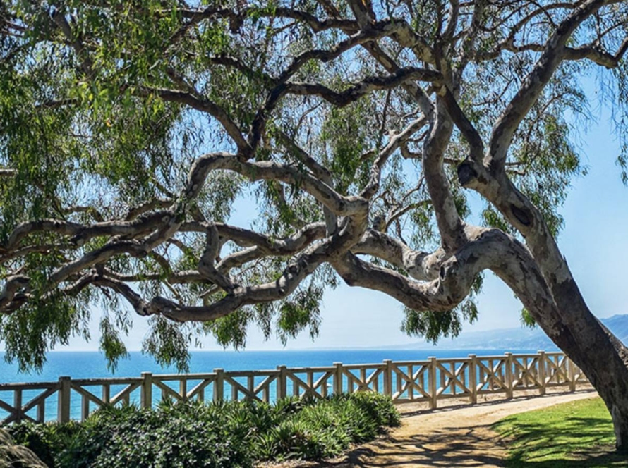 Palisades Park