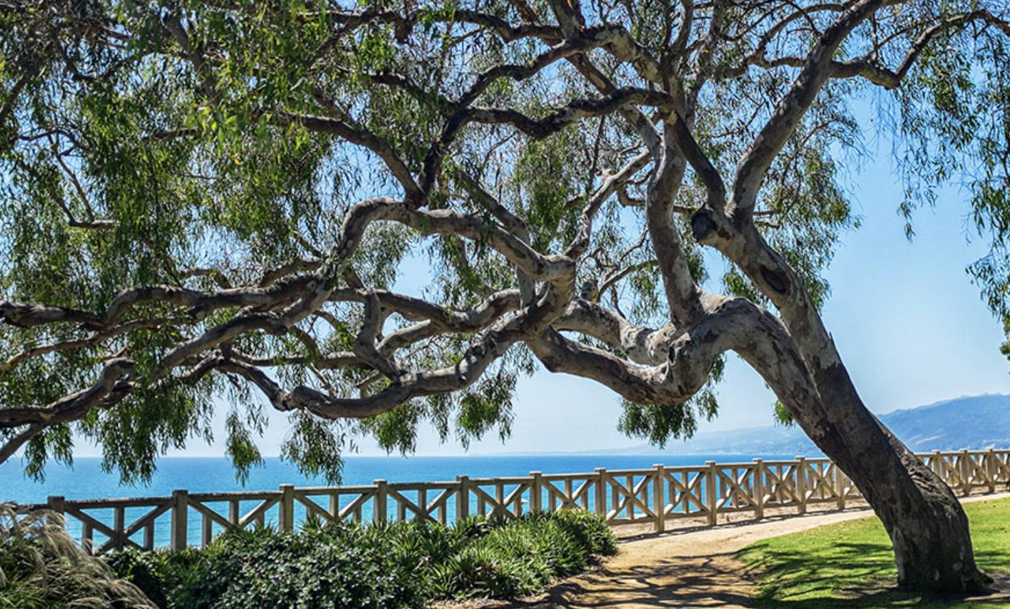 Palisades Park